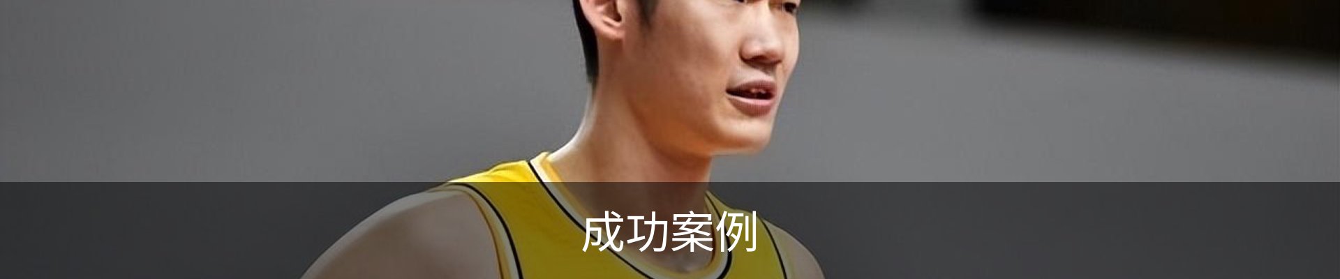 成功案例